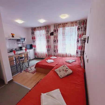 Pensiunea Rock And Red Guest house Risnov