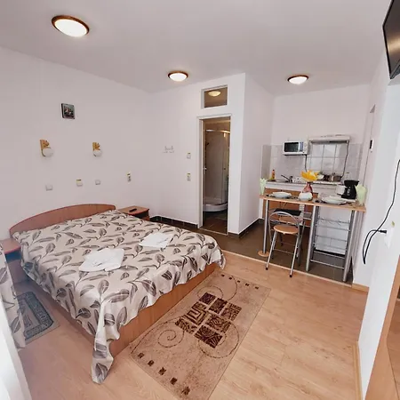 Pensiunea Rock And Red Guest house