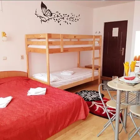 Pensiunea Rock And Red Guest house Risnov