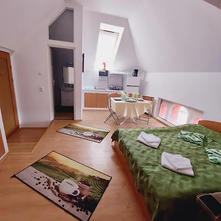 Guest house Pensiunea Rock And Red 3*
